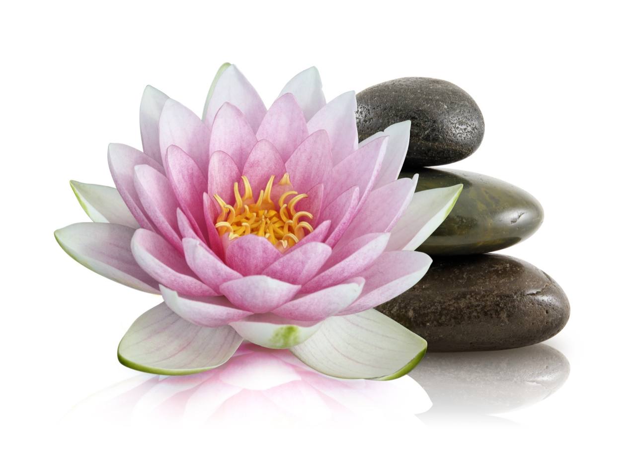Aromatic Thai 4-Elements